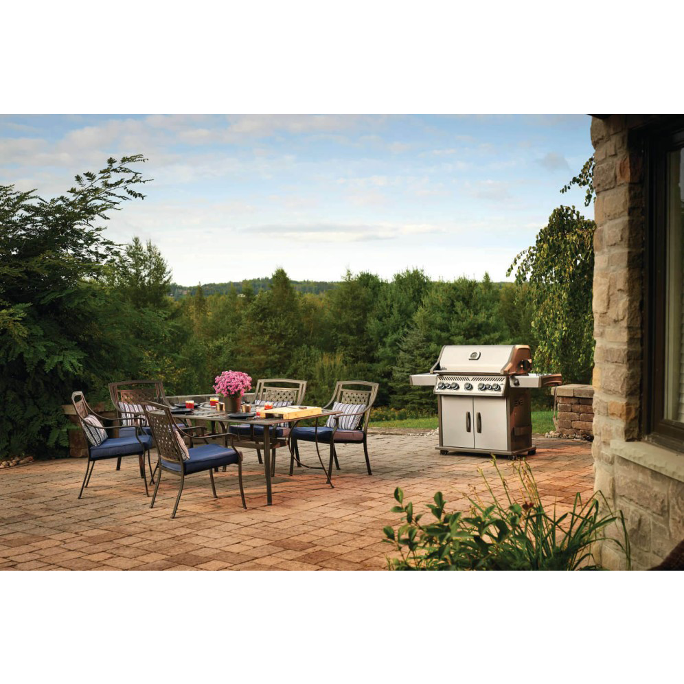 Napoleon Rogue SE 625 Gas Grill with Infrared Rear & Side Burners - RSE625RSIB
