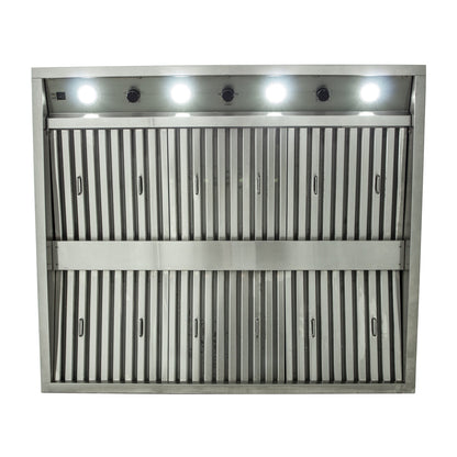 Blaze 36" 1,000 CFM Stainless Steel Outdoor Vent Hood, BLZ-36-VHOOD