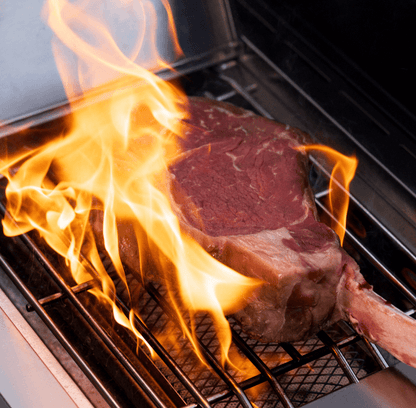 Monument Grills Eminence 605 Series | 6 Burner Advanced Propane Gas Grill in Stainless Steel (Natural Gas Convertible)